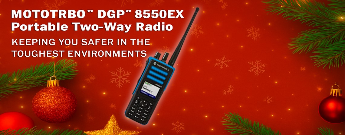 #caption3 DGP8550 slideshow banner